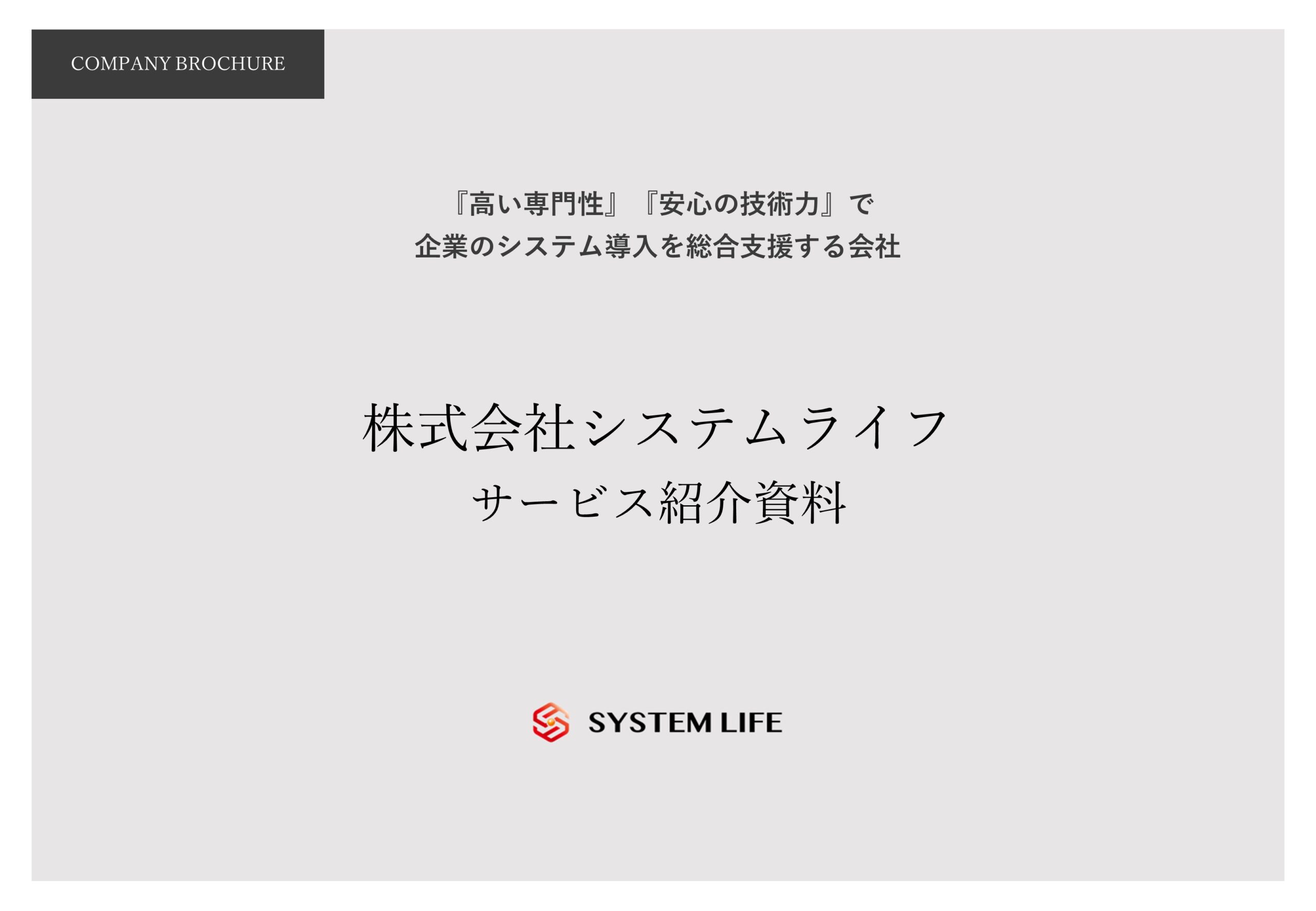 株式会社システムライフ サービス紹介1